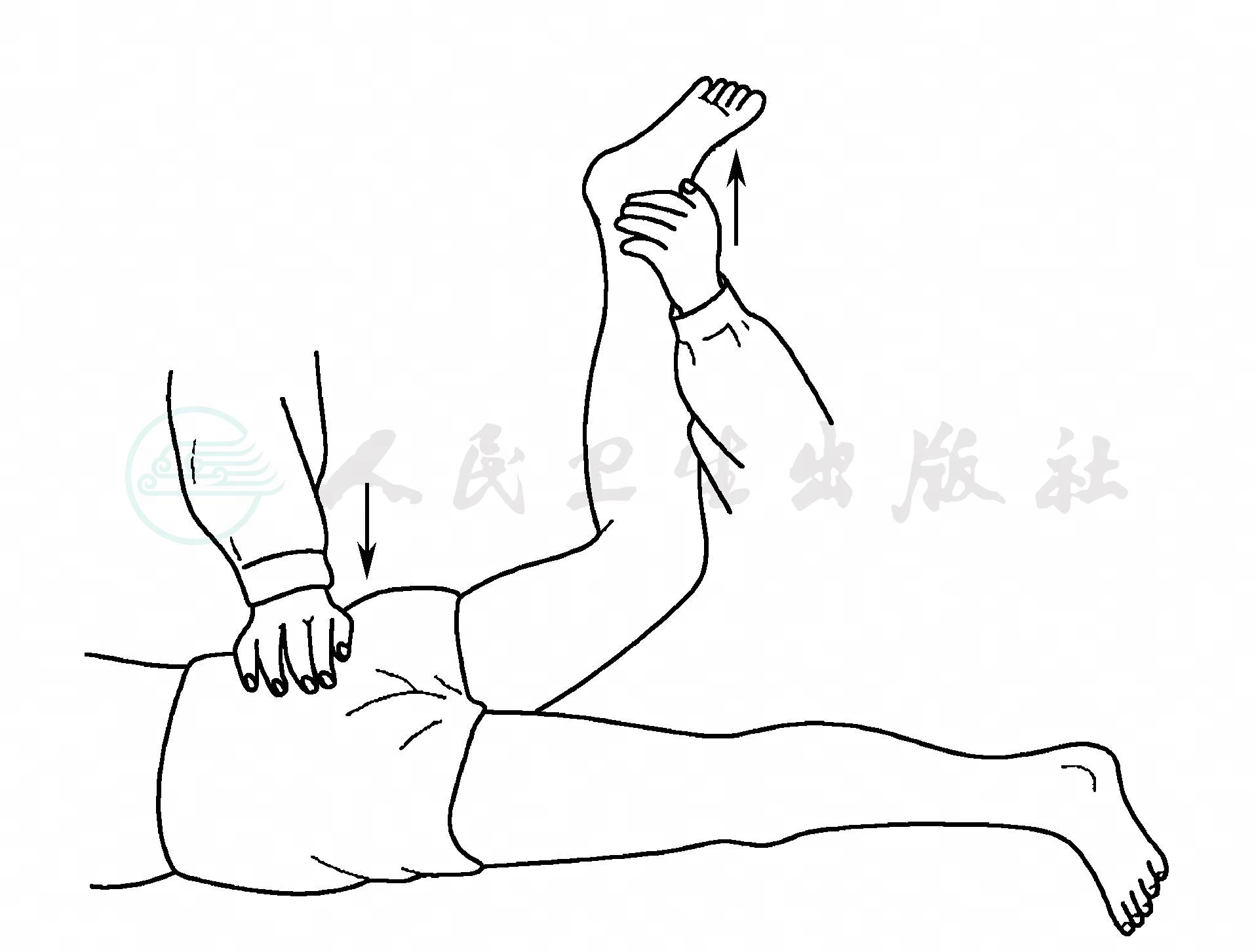 Gaeslan Sign 检查详情-人卫临床助手-人民卫生出版社