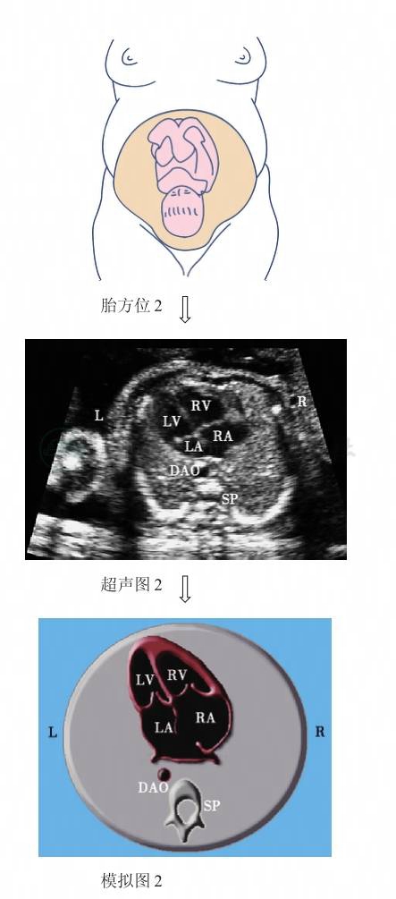检查详情-人卫临床助手-人民卫生出版社