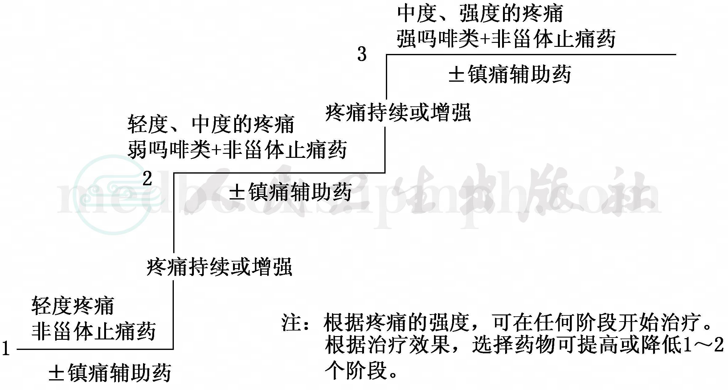 默认分类