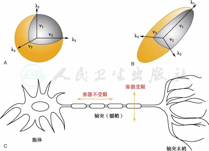 临床操作详情-人卫临床助手-人民卫生出版社