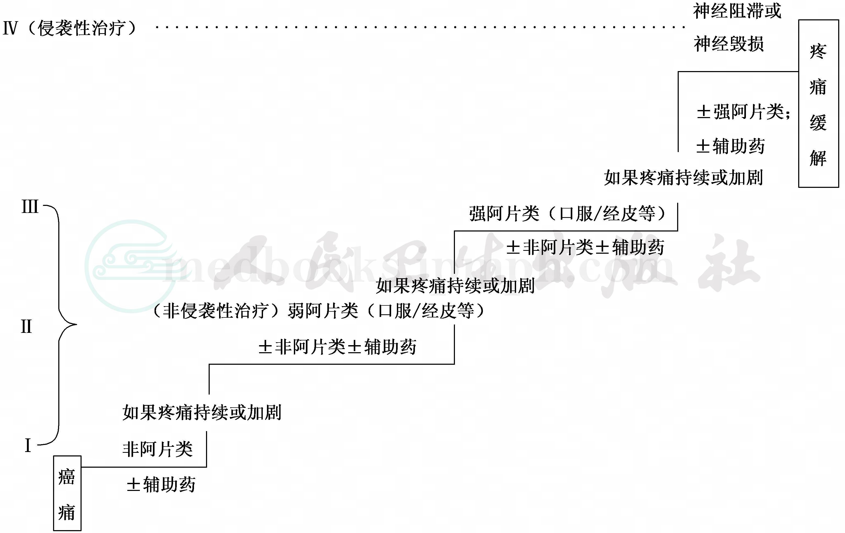 默认分类