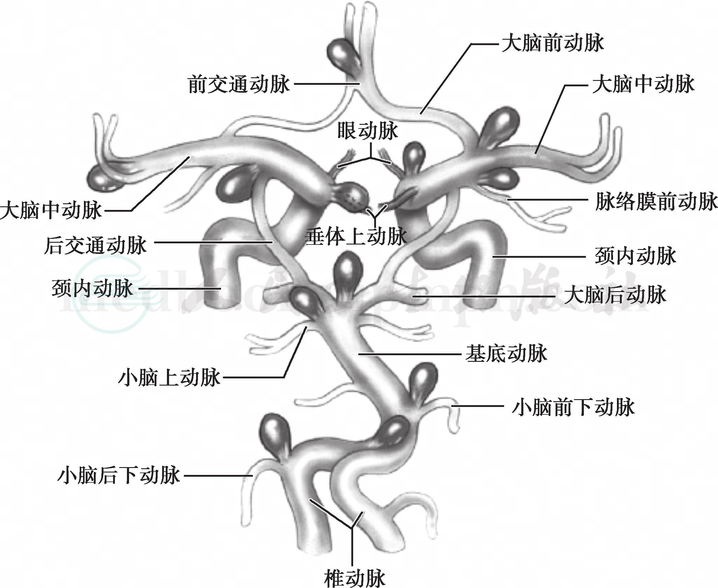 疾病详情-疾病-人卫临床助手-人民卫生出版社