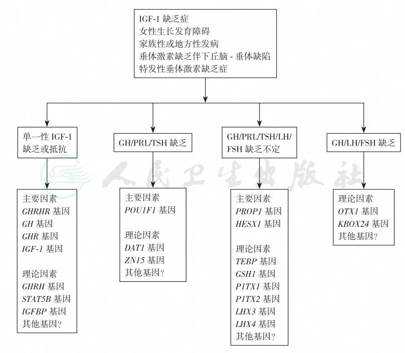 默认分类